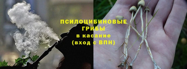 гидропоника Аркадак