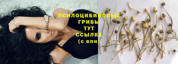 ешки Армянск