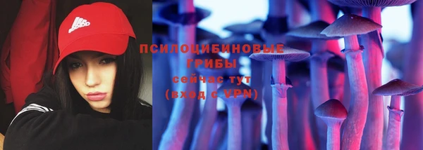крисы Арсеньев
