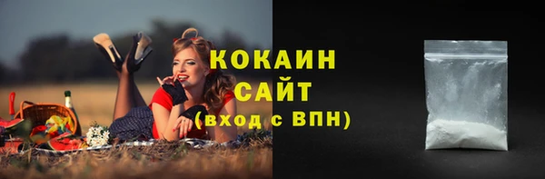 крисы Арсеньев