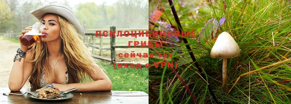 ешки Армянск