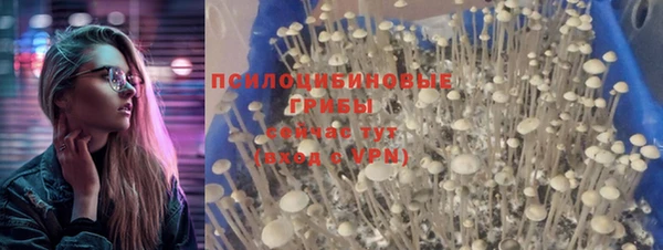 ешки Армянск