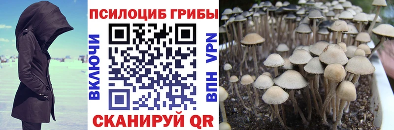 Галлюциногенные грибы прущие грибы Пущино
